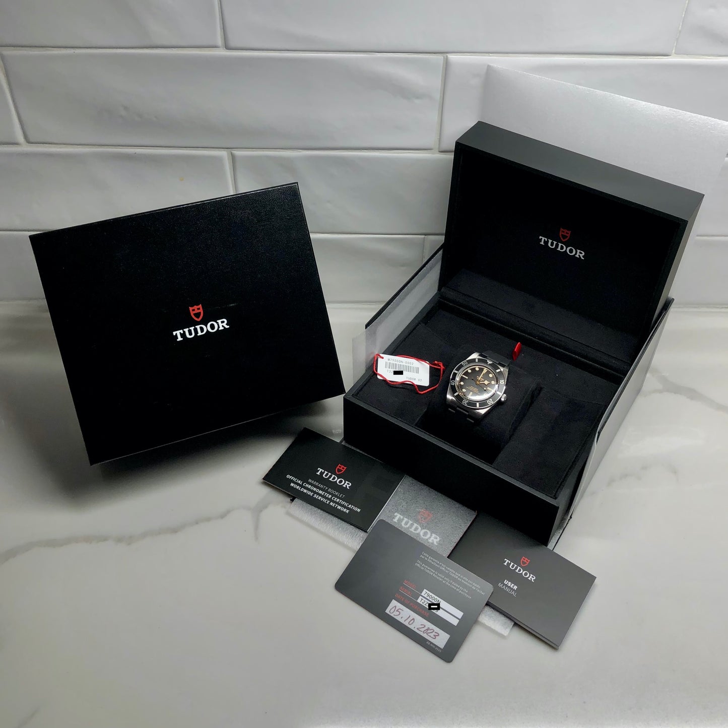 2023 Tudor Black Bay 54 79000N Black Steel Rubber Wristwatch with Box and Papers - HASHTAGWATCHCO