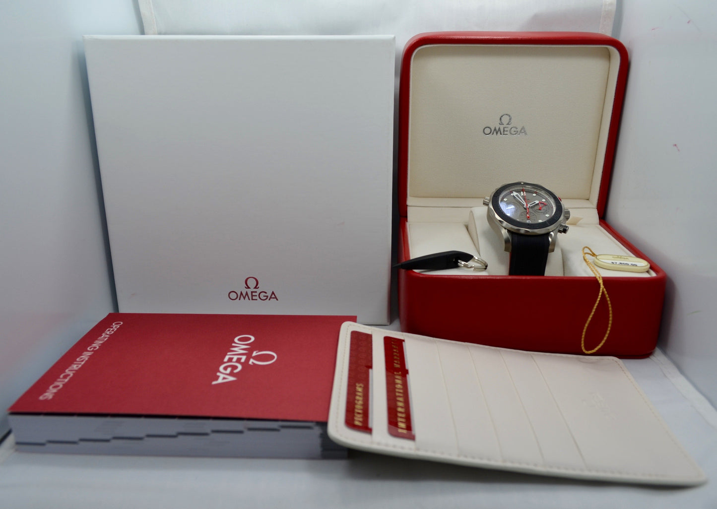 Omega Seamaster Professional ENTZ 300M Titanium 21292445099001 Chronograph Watch - Hashtag Watch Company