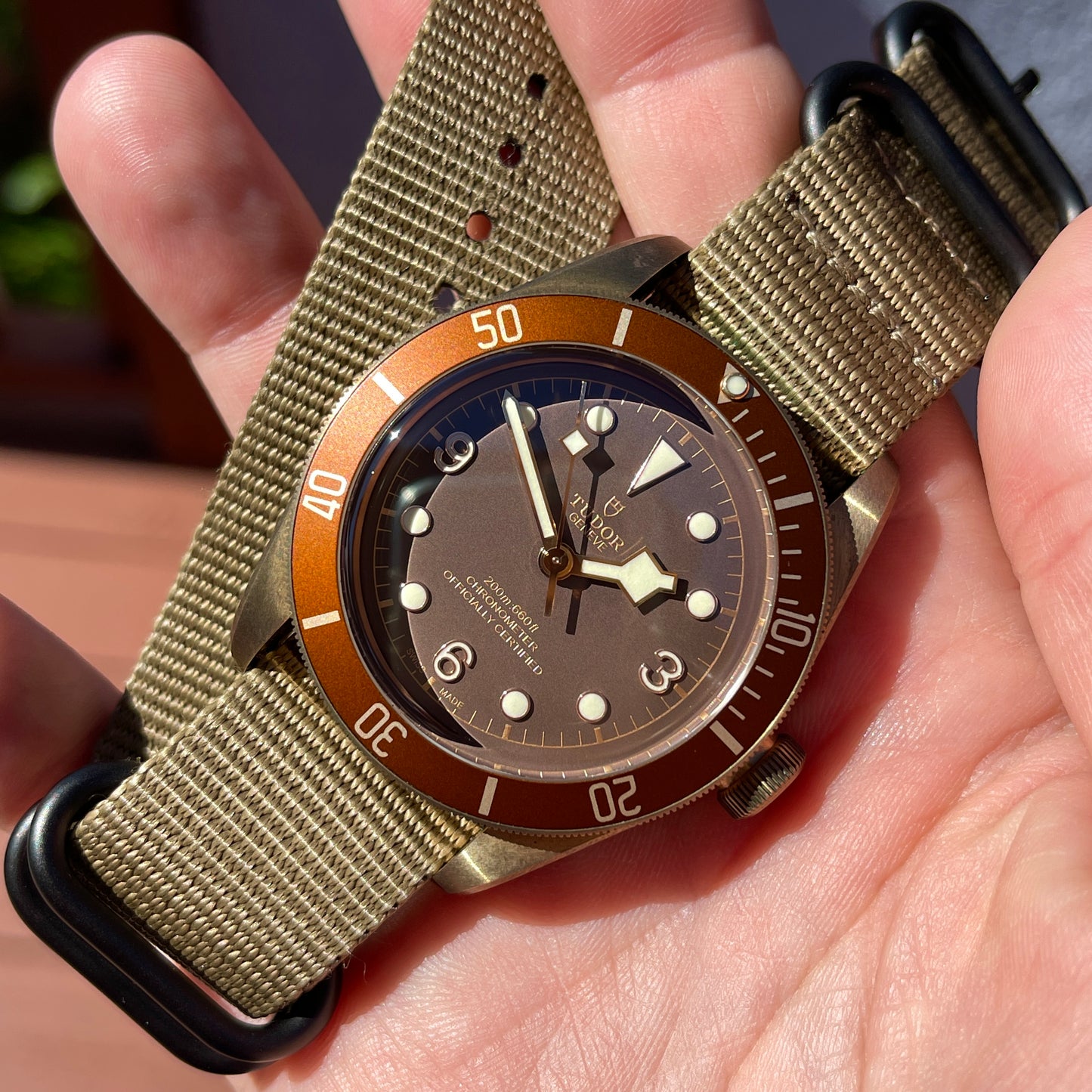 2019 Tudor Heritage Black Bay Bronze 79250BM Tobacco Brown Automatic Wristwatch Box Papers - Hashtag Watch Company