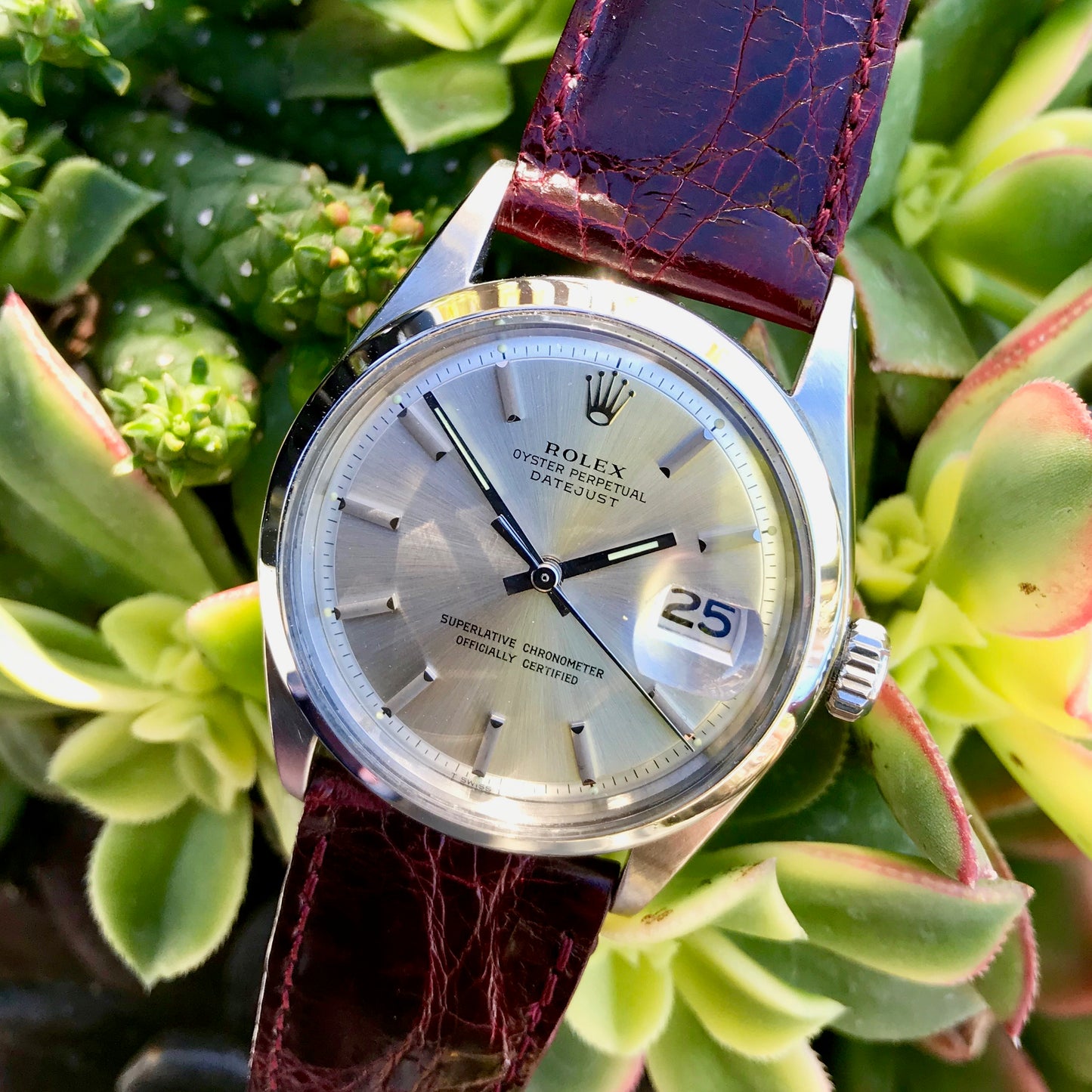 efter det kaldenavn udendørs Vintage Rolex Datejust 1600 Silver Cal 1570 Oyster Perpetual Stainless  Steel Wristwatch 1969 | HashtagWatchCo