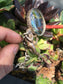 Vintage Antique Sterling Silver Victorian Era Decorative Magnifier Loupe - Hashtag Watch Company
