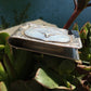 Edward H. Bohlin Hollywood California Sterling Silver Long Horn Money Clip MASSIVE - Hashtag Watch Company