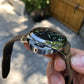 Panerai Luminor 1950 PAM 535 GMT 3 Days Automatic 42mm Wristwatch Box Papers - Hashtag Watch Company